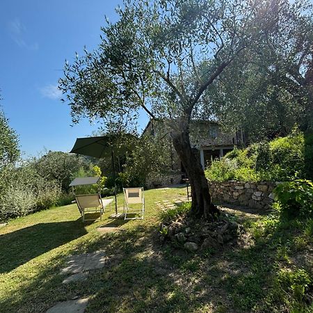 Le Capanne Di Torre Villa Lucca Exterior photo