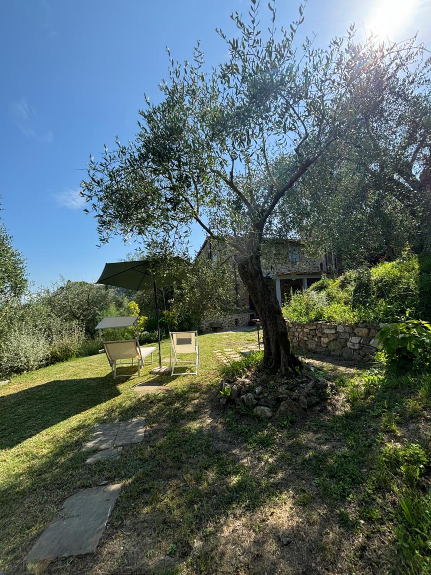 Le Capanne Di Torre Villa Lucca Exterior photo